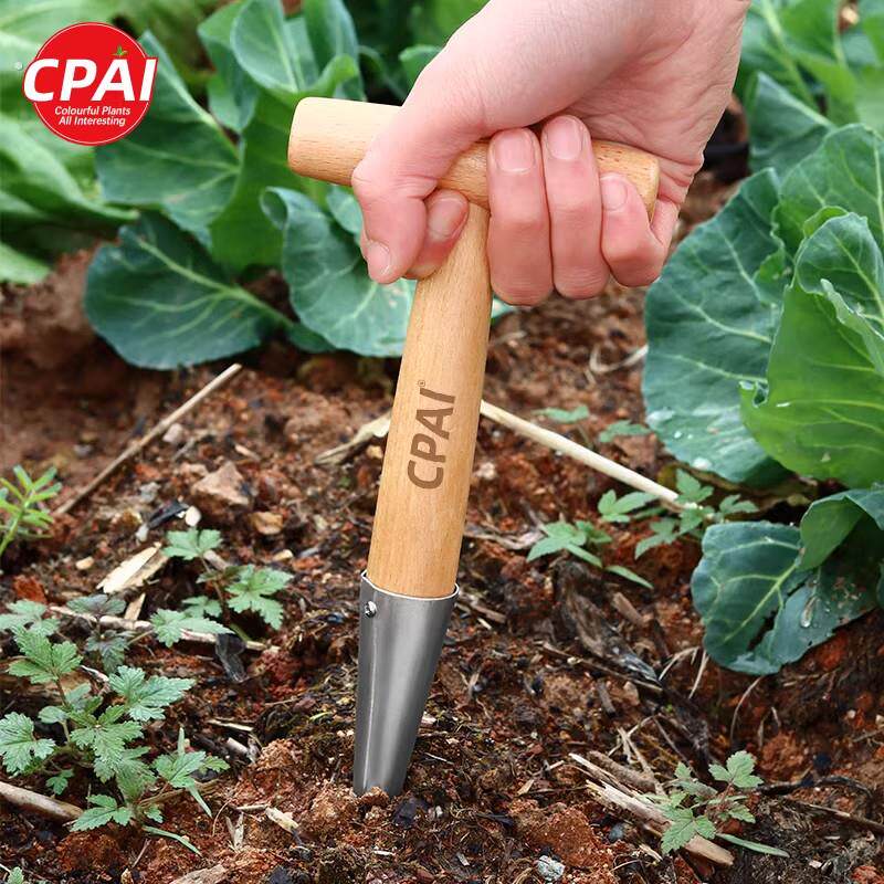 种菜专用工具神器农业施肥打孔器家用园艺播种移栽泥土打洞移苗器