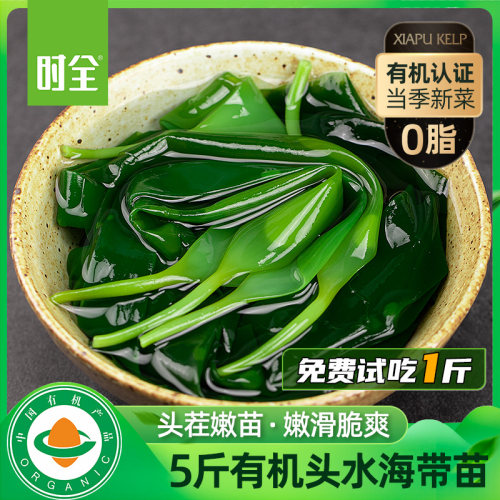 时全有机海带嫩苗严选小苗新货