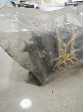 维修检查销售船用模块6M4M100C询价