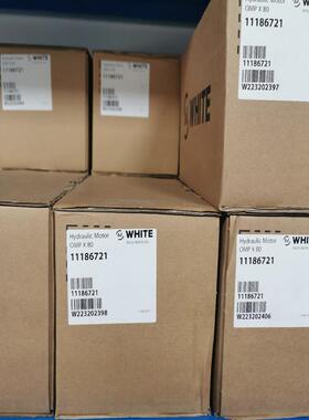 维修检查OMPX80 11186721怀特摆线马达