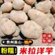 贵州高山米拉洋芋威宁纳雍本地农家自种马铃薯非转基因新黄心土豆