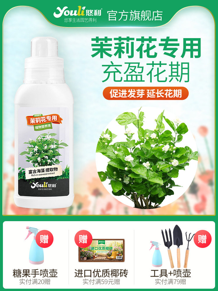 茉莉花专用营养液酸性植物肥料花苞鸳鸯虎头茉莉家用室内水培土培