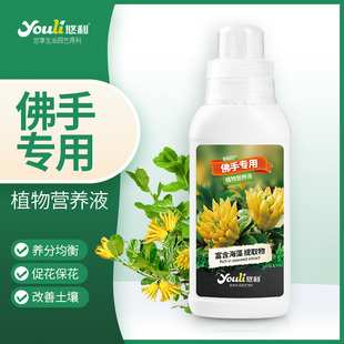 悠利佛手营养液肥料专用肥金佛手盆栽植物开花促花家庭园艺绿植
