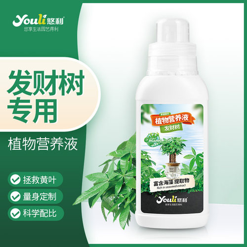 发财树肥料植物营养液24小时发货