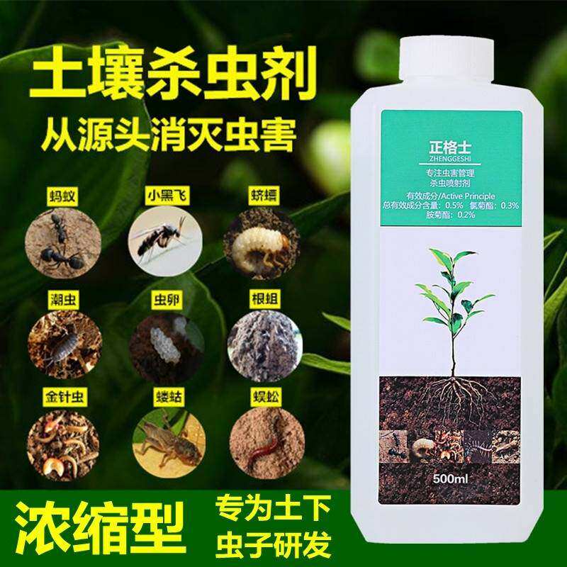 （土壤杀虫剂花卉植物土里杀虫药花盆里面有虫子地下害虫盆栽除虫