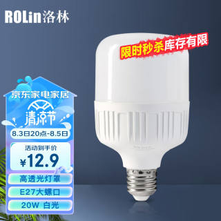 洛林（ROLin）led灯泡大功率节能灯20W大螺口E27白光6500K柱形白