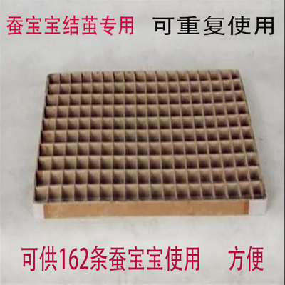 蚕宝宝结茧专用方格族162孔上山上架结茧网