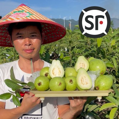 脆甜爽口白心番石榴顺丰包邮