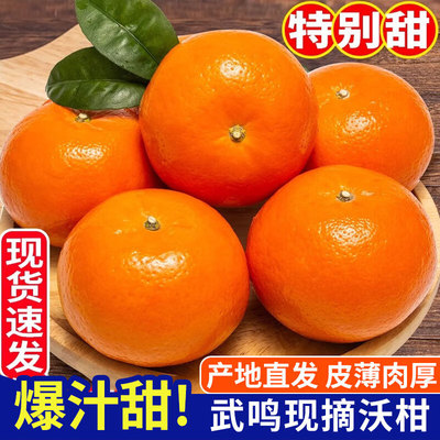 广西武鸣沃柑新鲜水果当季整箱精品礼盒装一级沙糖蜜橘砂糖柑桔子
