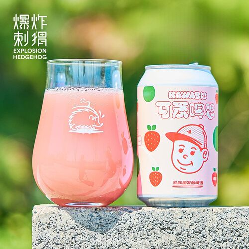 ET/纸飞机水果精酿啤酒/果酒