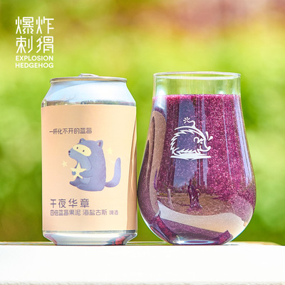 ET/纸飞机水果精酿啤酒/发酵酒