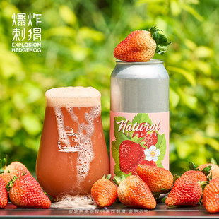 美国 回头客 草莓/芒果/菠萝/覆盆子/桃子水果酸艾尔进口精酿啤酒