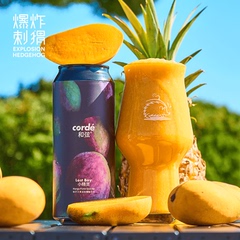 和弦/果味精酿/大西瓜/双倍干投浑浊IPA/小精灵芒果泥精酿啤酒