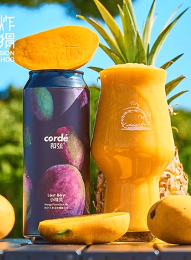 和弦/大九 砂糖橘/大西瓜/浑浊IPA/小精灵芒果菠萝果泥精酿啤酒