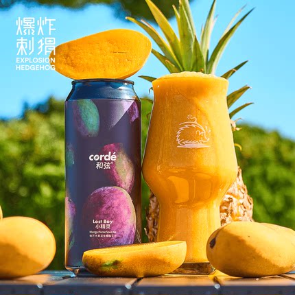和弦/大九 砂糖橘/大西瓜/浑浊IPA/小精灵芒果菠萝果泥精酿啤酒