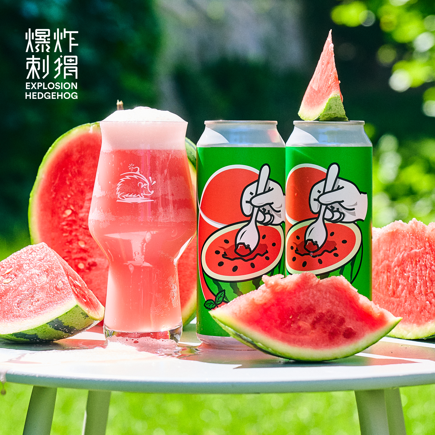 赤耳我想成为熊三倍水果酸艾尔/龙虎门IPA/海盐拉格精酿啤酒西打