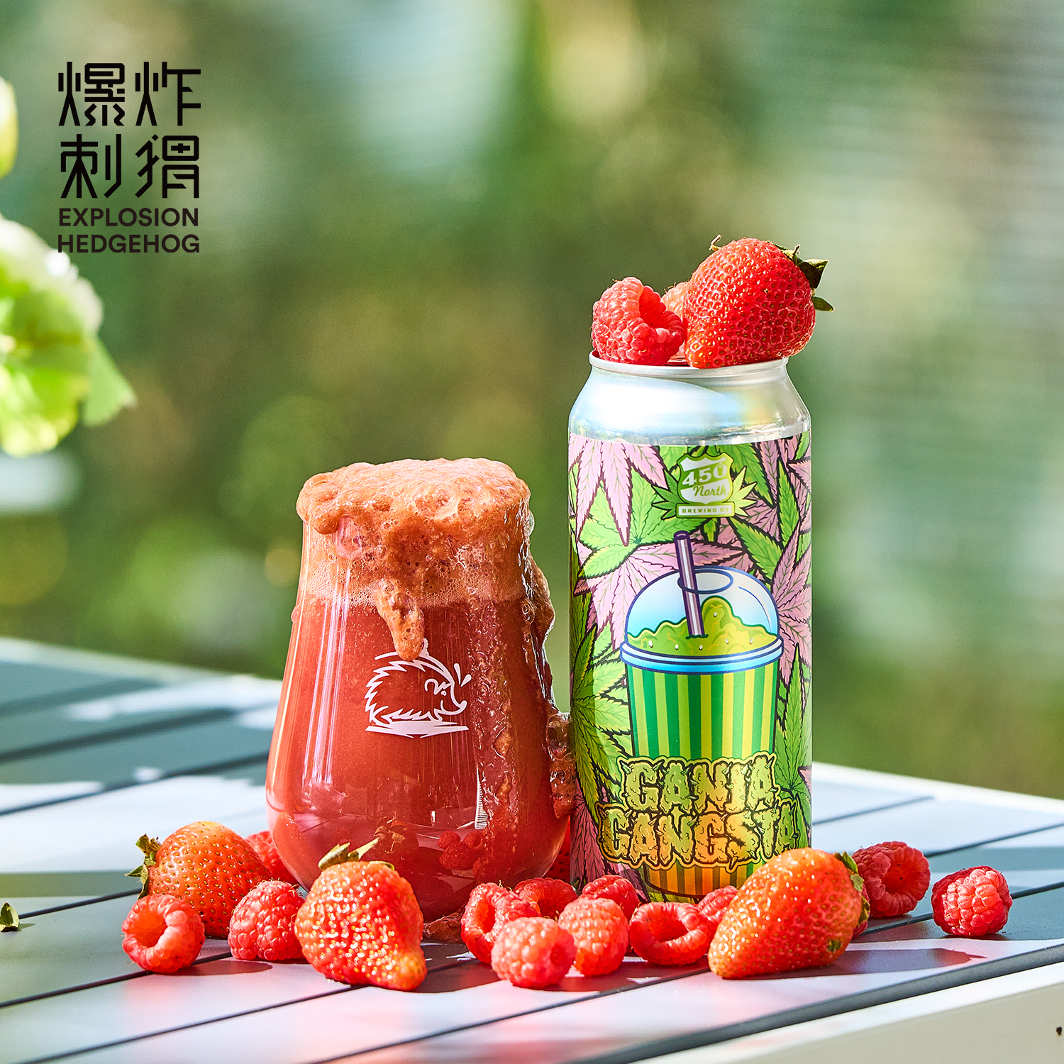 450北方/盒子思维 加大号雪泥 樱桃/番石榴 进口水果泥酸精酿啤酒