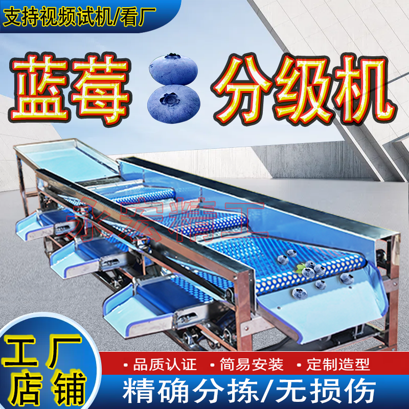 蓝莓分级机 车厘子分选机 不伤果粉 水果分拣机 花香蓝莓筛选机,农机/农具/农膜,锄头,淘宝优惠券,粉丝福利购,淘宝优惠卷