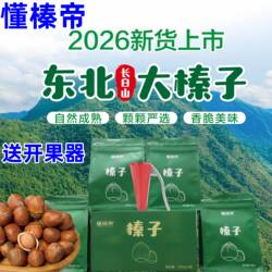 懂榛帝东北大榛子26年新货自然成熟高端营养坚果长白山榛子炒熟