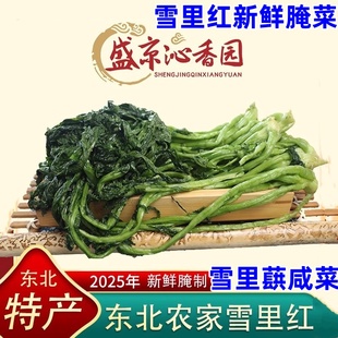 雪里红新鲜腌菜盛京沁香园雪里蕻咸菜东北特产25年新鲜腌制雪菜