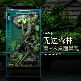 无边森林悬浮雨林缸雷思达雨林缸微景观爬虫缸食虫缸超白玻璃桌面
