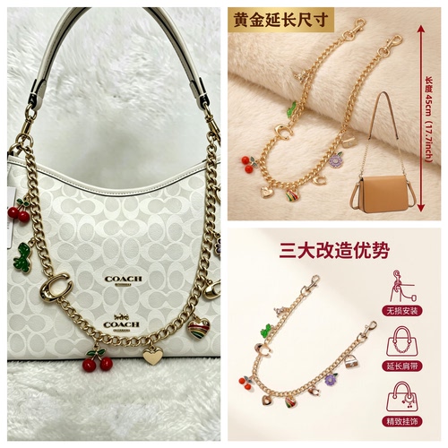适用Coach蔻驰Laurel31链条