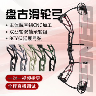 雷瓦侬盘古复合弓非两用弓纯射箭弓竞技户外CNC一体双凸轴承轮