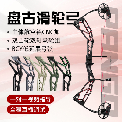 雷瓦侬盘古复合弓CNC一体
