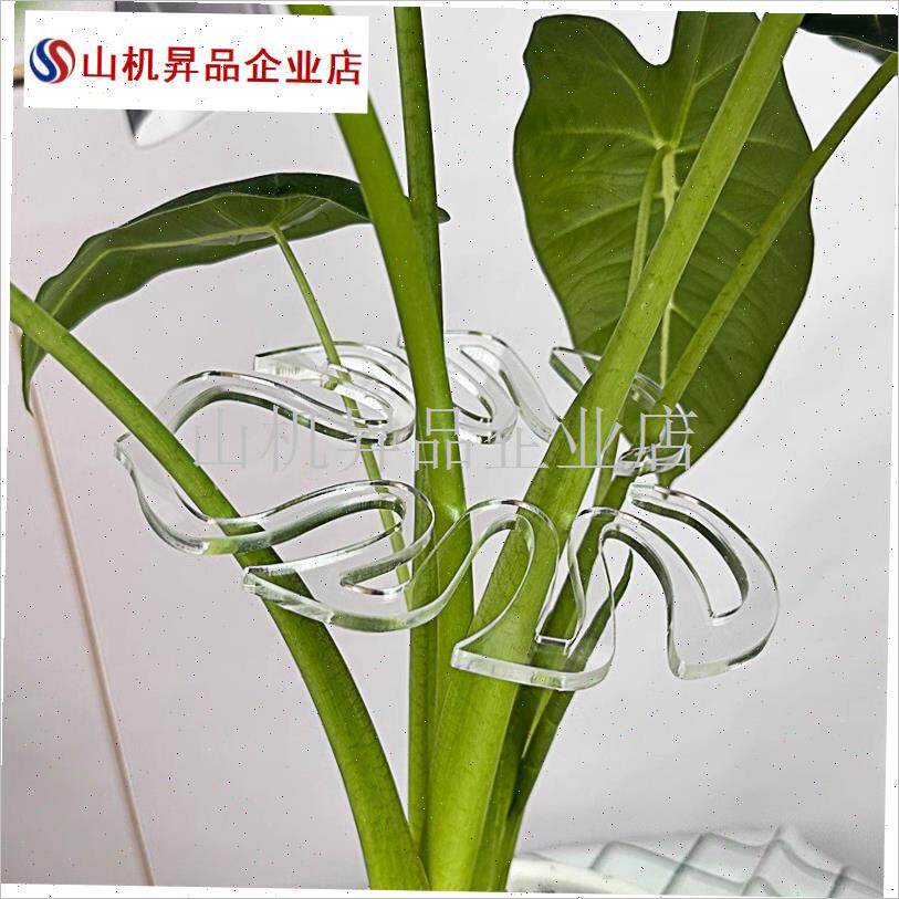 植物支撑杆怪物春雨支架水培绿色植F物天鹅马蹄莲防倒伏园艺花支.