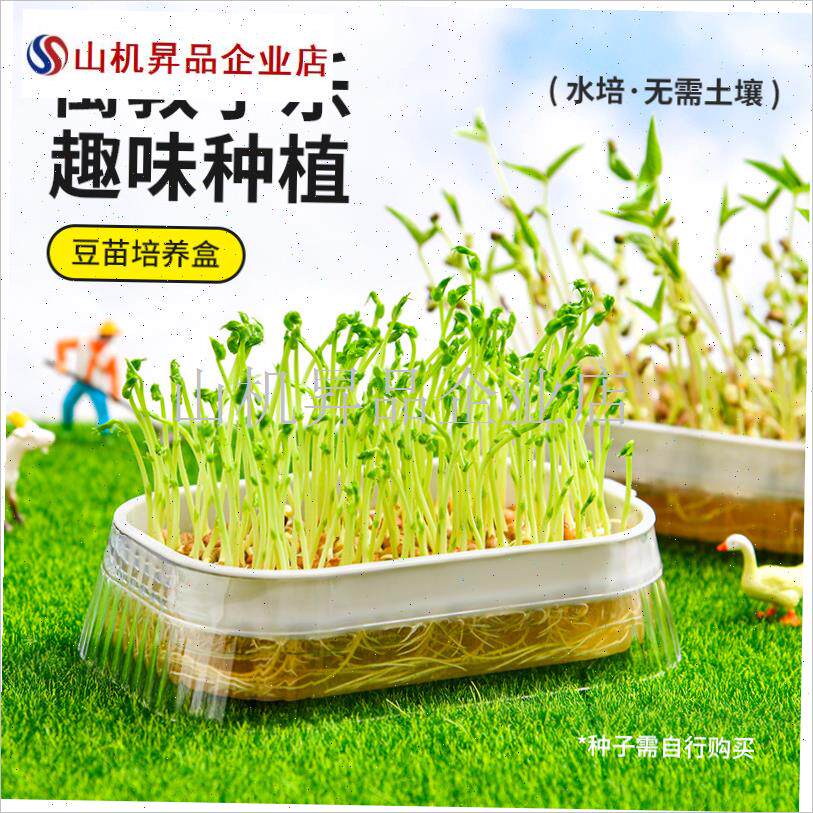 豆芽发芽盆水培蔬菜豌豆苗种植架无土栽培托猫草芽X苗菜育苗盘托.