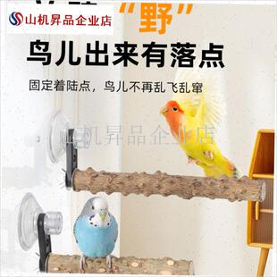 鹦鹉吸盘站杆花h椒木车载站架专用玻璃定点排便神器小太阳鸟笼配.