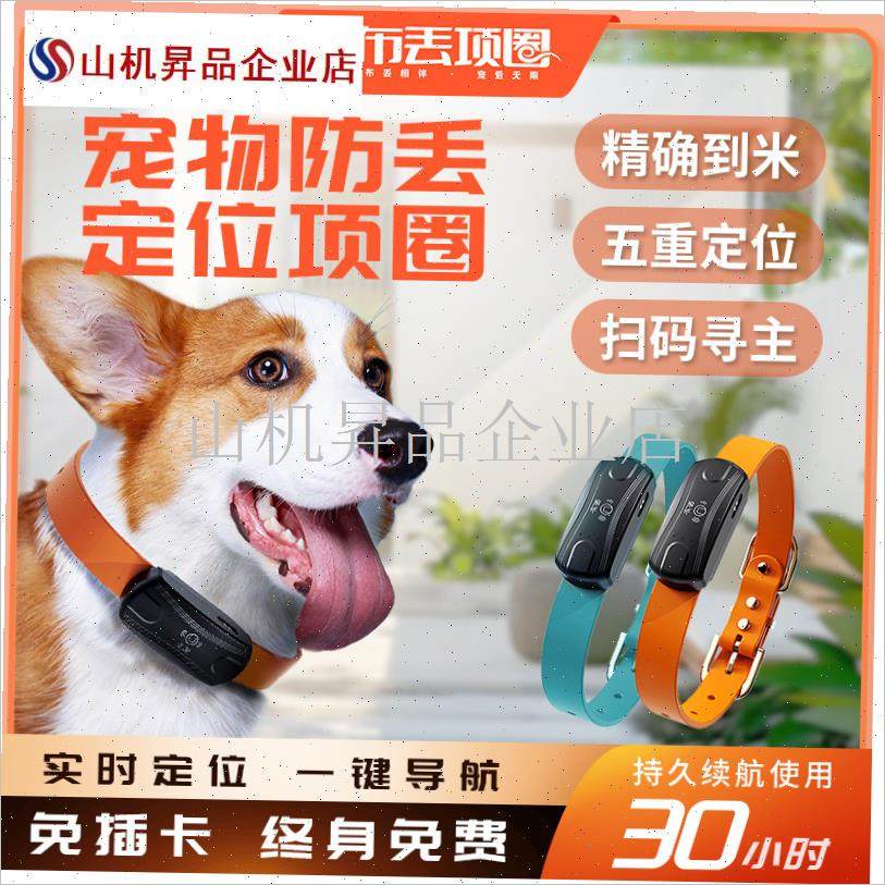 布丢宠物a定位器狗狗防走丢失项圈狗牌订位神器脖圈gps实时追踪.