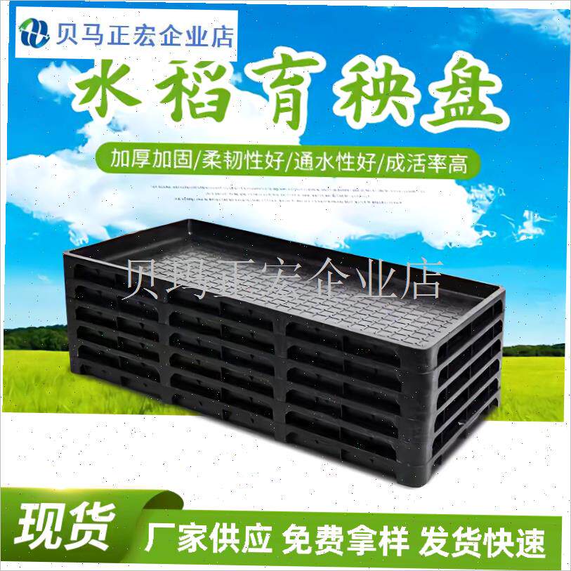 水稻育秧盘新款加厚n塑料托 托盘平盘秧苗机插插秧盘加厚平底盘