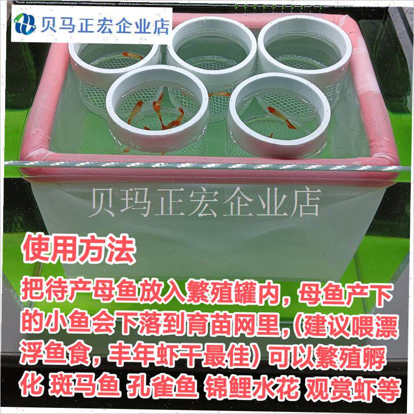 金鱼孵化盒育苗网+繁殖罐组合使用漂浮孔M雀鱼S苗产房卵生鱼孵化