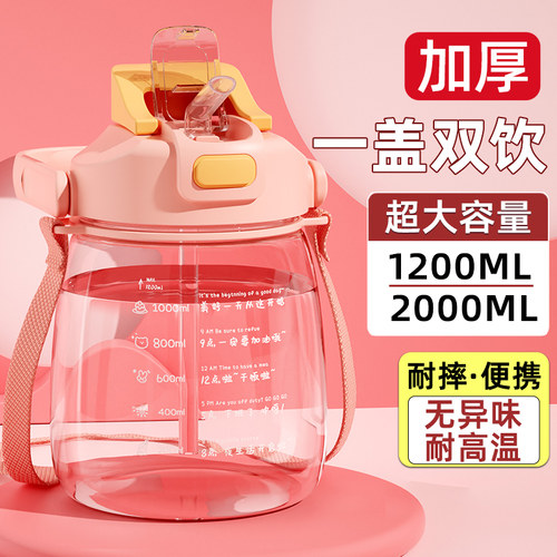夏季水杯大容量耐高温2024新款大肚杯女生高颜值2000ml吸管杯可携