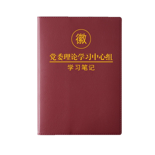 党委理论学习中心组学习笔记本订做a5理论中心组政治学习工作会议记录本B5党组党员学习教育本子定制可印logo