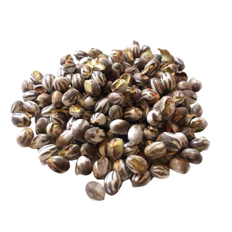 东北新鲜食品刺蛾洋辣子杨拉罐坦克虫钓鱼仓松鼠蜜袋鼯刺猬100g装
