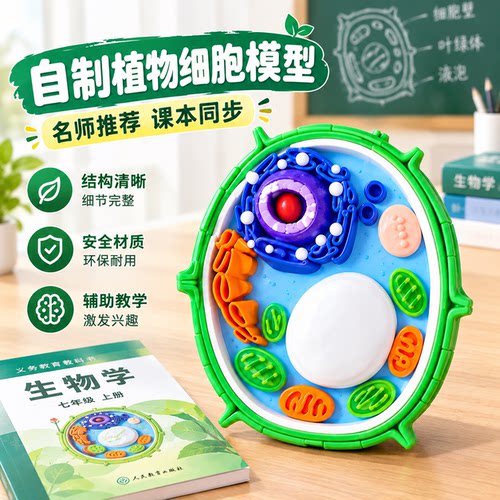 动植物细胞模型制作材料成品生物七年级初一生物作业细菌diy粘土7