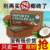 厂家直销进口椰糠砖椰土阳台种菜无菌种植土脱盐椰砖月季花土营养
