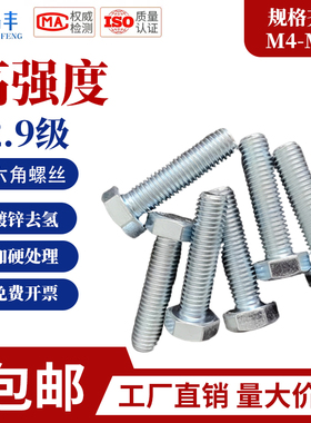 12.9级镀锌去氢全牙外六角高强度螺栓DIN933M6M8M10M12M14-M20