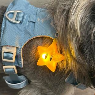 马里奥星星遛狗灯挂件狗狗夜间出行防走失遛狗神器宠物配饰夜光灯
