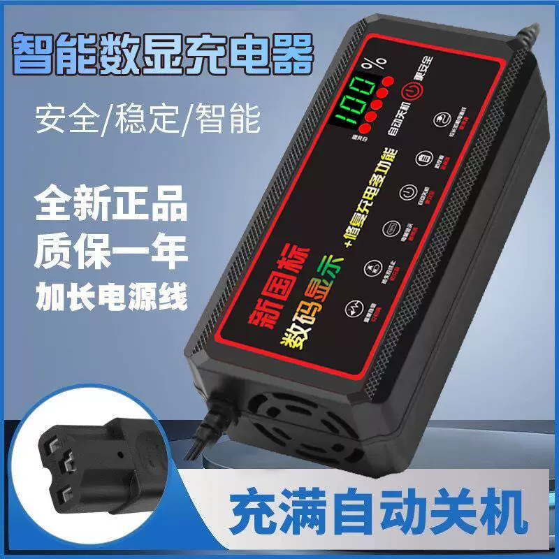 自动断电两轮三轮电动车充电器