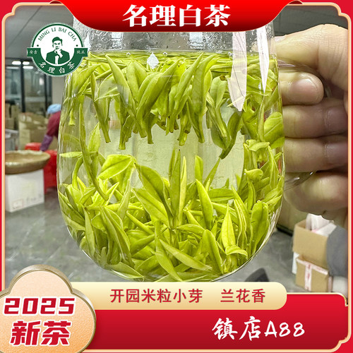名理白茶开园小芽正味兰花