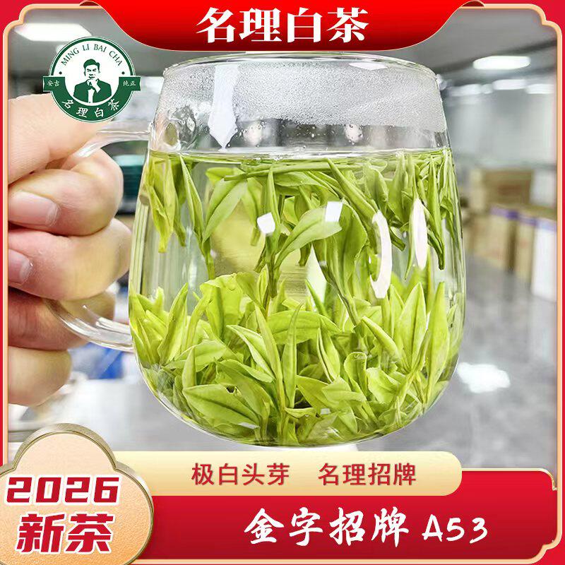 名理白茶明前高山正宗2026年安吉图片