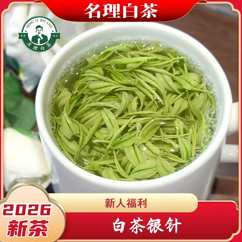 名理白茶新人福利白茶银针图片