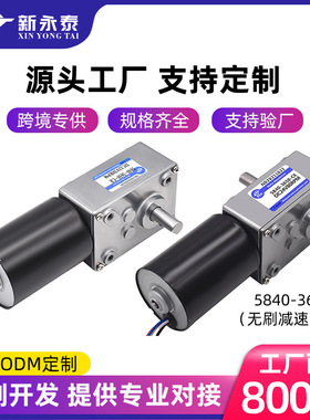 5840-3650单轴微型直流无刷减速12v调速电机双轴低速马达