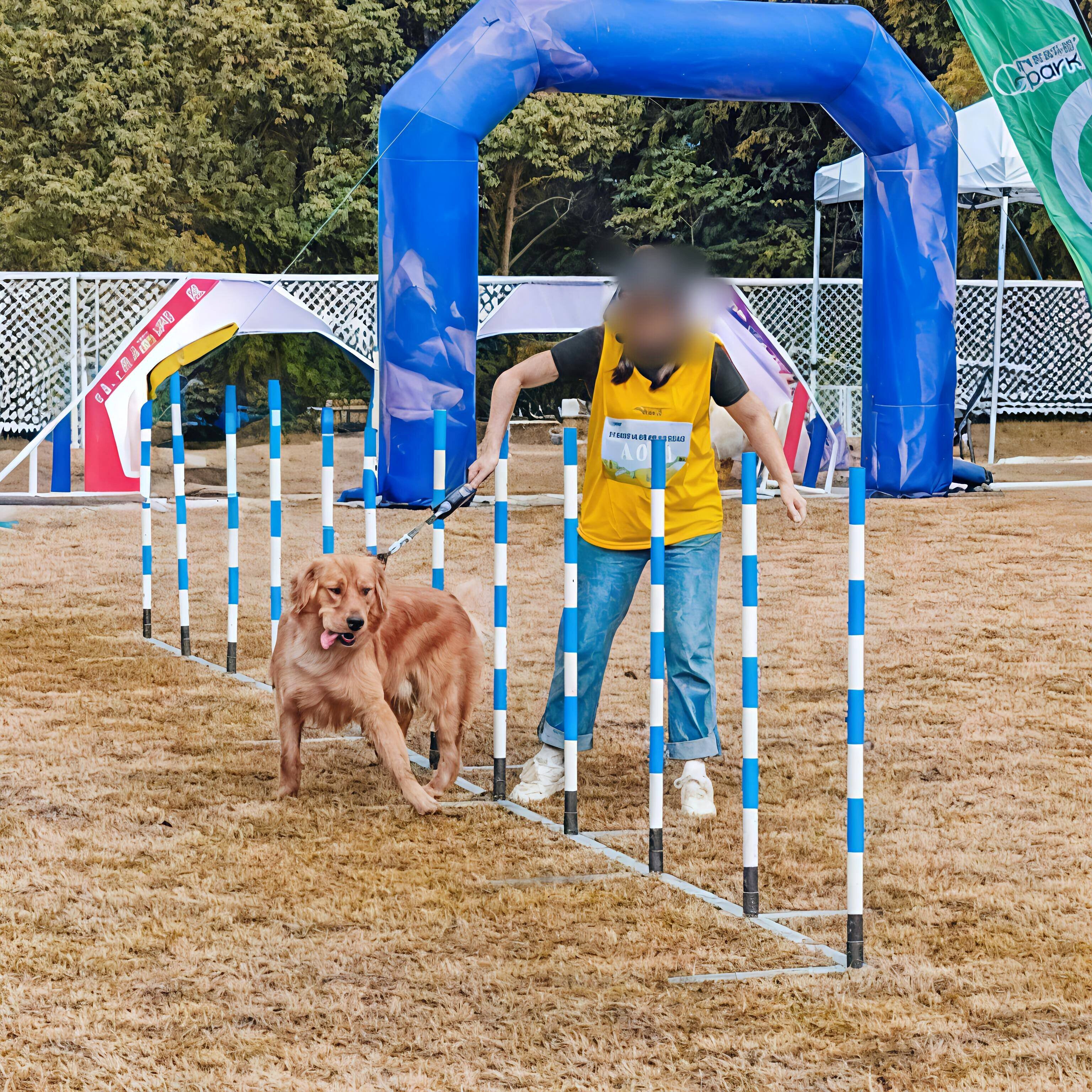 犬敏捷器材宠物训练绕杆训练蛇杆多功能绕桩FCI狗狗训练用品标杆