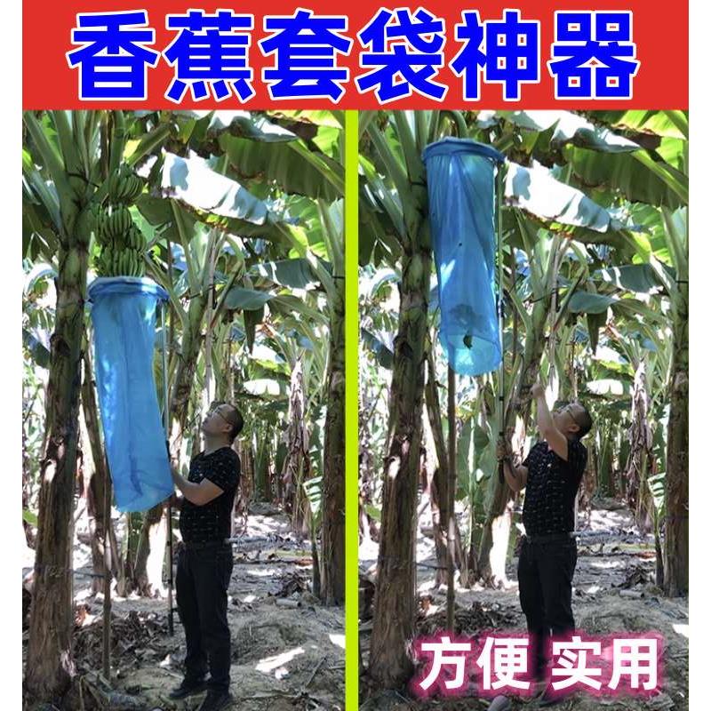 香蕉套袋神器套芭蕉树袋子使用的专用工具不锈钢3.9米伸缩杆1.8米