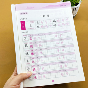 小学生五年级上册同步练字帖课本同步生字字帖天天练写字词语练习字词描写训练手写体汉字字体识字课本同步生字帖描红本近义词句段