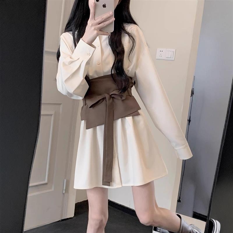 长袖衬衫裙子2025新款女装春秋季法式气质显瘦小个子冬季连衣裙子